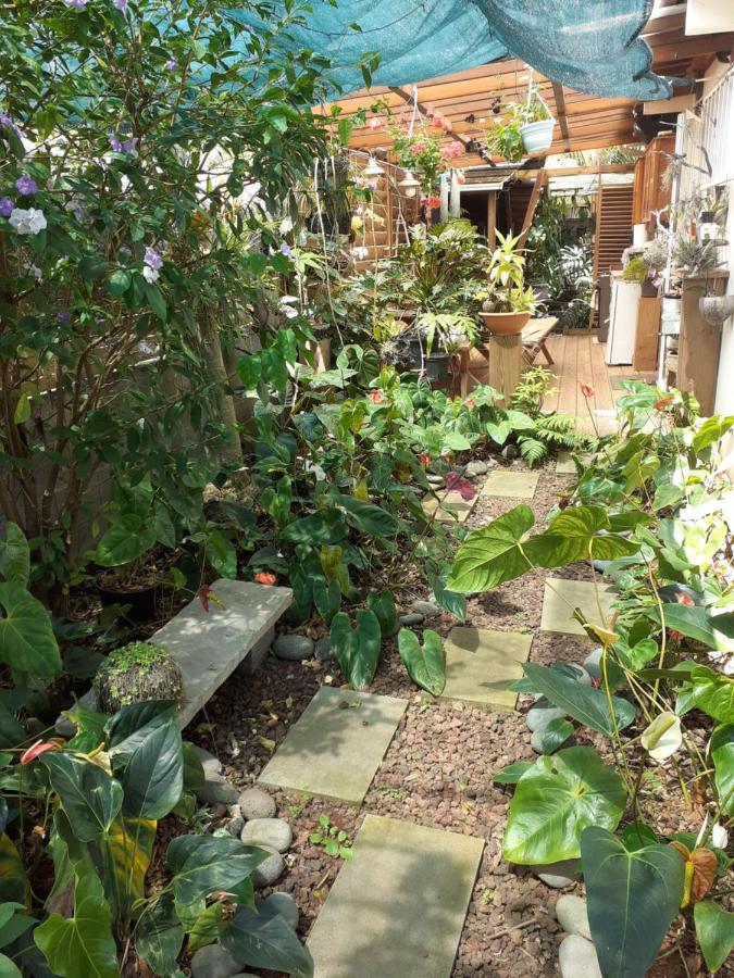 Bed and Breakfast Ambiance Sud Sauvage Saint-Joseph Exterior foto